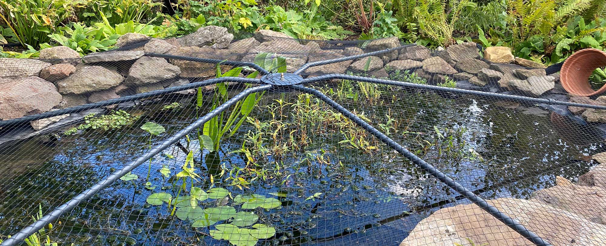 Pond netting