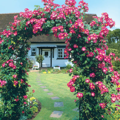 Garden Arches | Style Guide