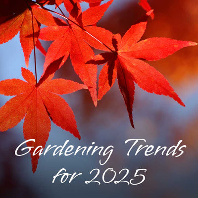 Garden Trends for 2025