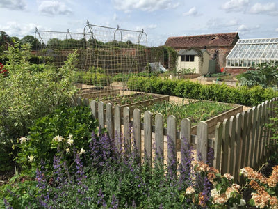 Planning a Spectacular Kitchen Garden Layout