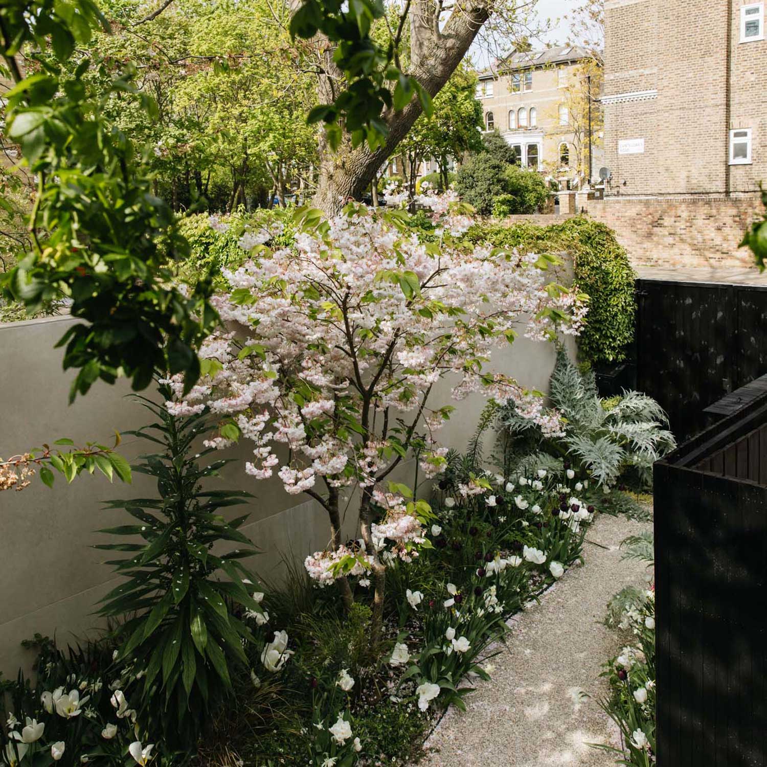 Mews small garden design in North London