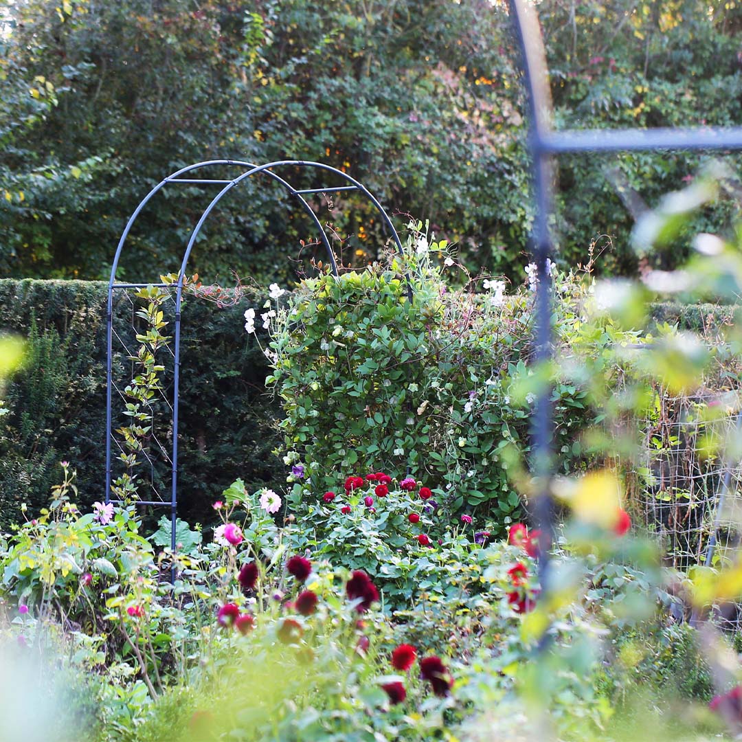 Traditional Round arch with roses in bloom. A partial 2nd arch is out of focus in the foreground.