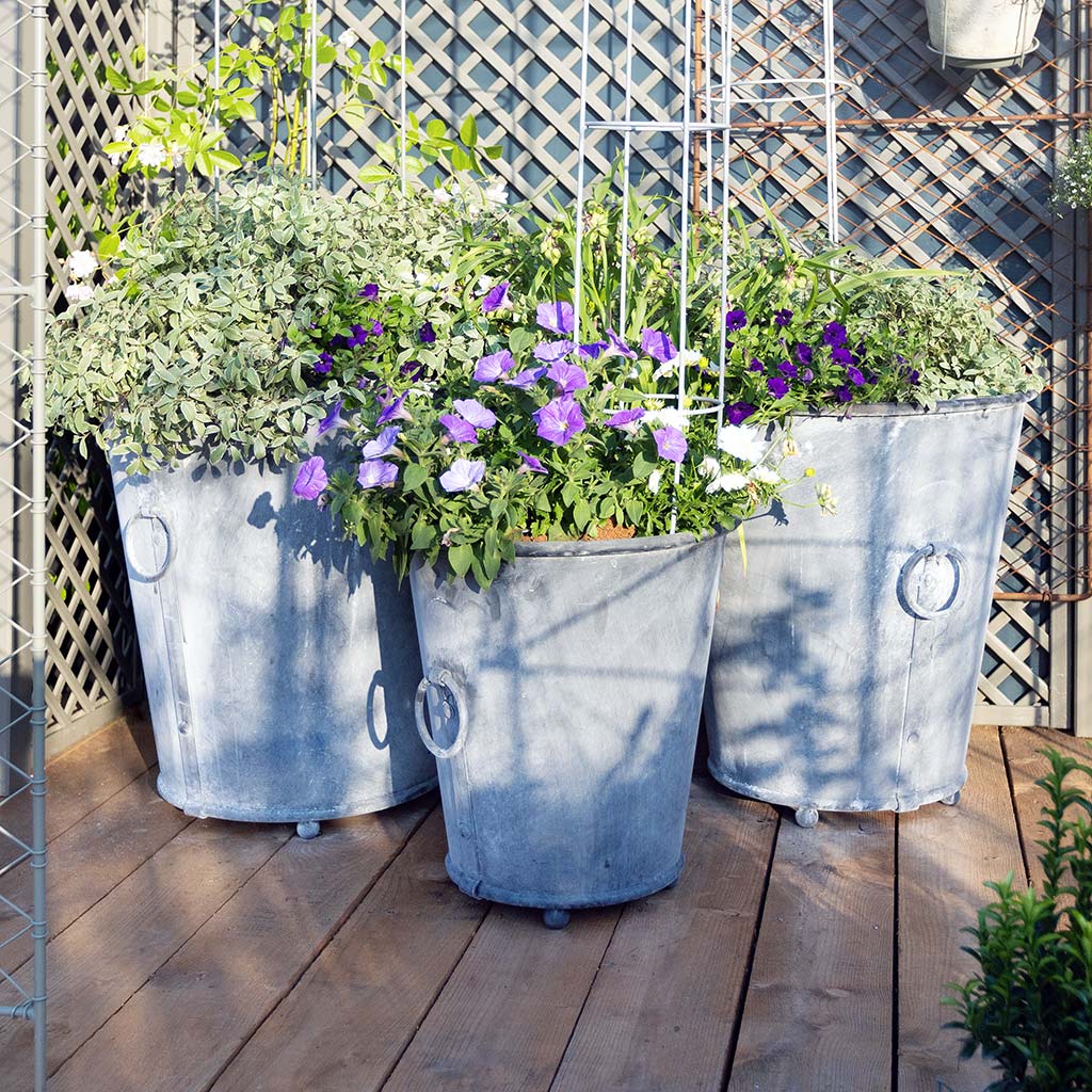 Group of Classic Zinc Planters - Small, Medium and Large