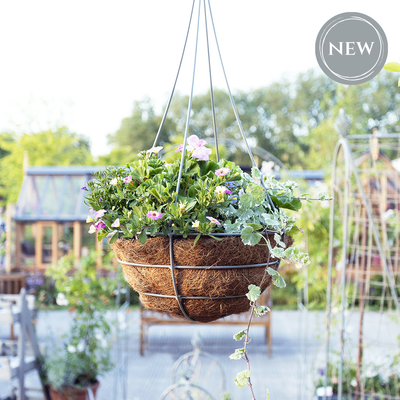 Elegance Hanging Basket in Sage Green