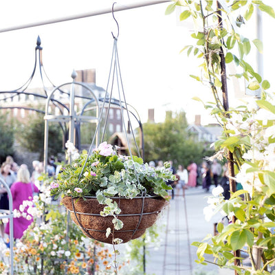 Elegance Hanging Basket in Sage Green