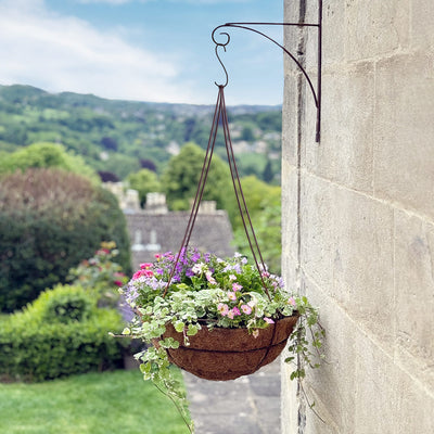 Elegance Hanging Basket - Small 30cm