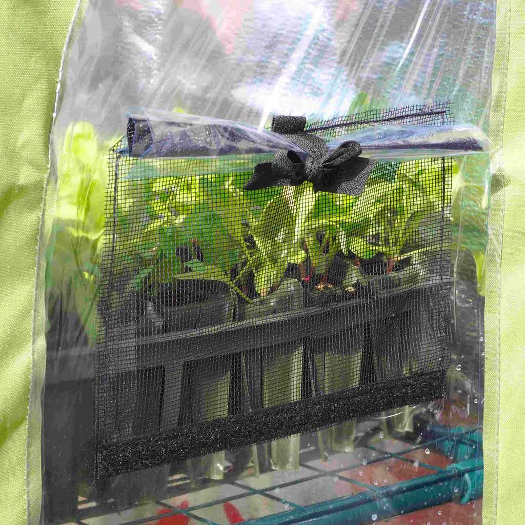 Light-Booster Coldframe