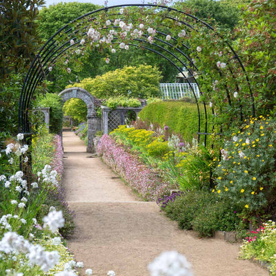 Round pergola over a wide flowery pathway