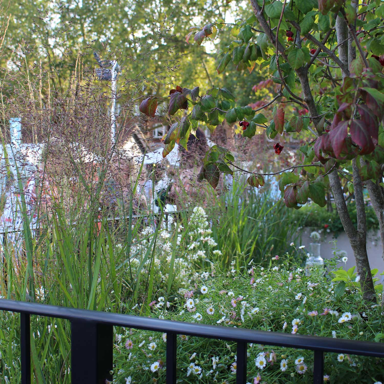 Chiswick Garden flowers and planting