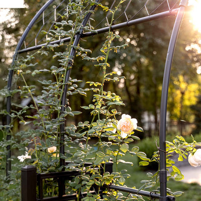 Round Pergola