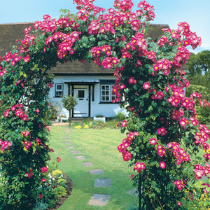 Round Arch with flowers growing over