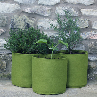 Vigoroot Pots 2.5L (3 pack)