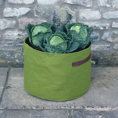 Vigoroot Vegetable Planter