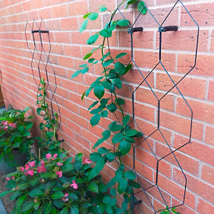 Wall Trellis Panels with growing climbers