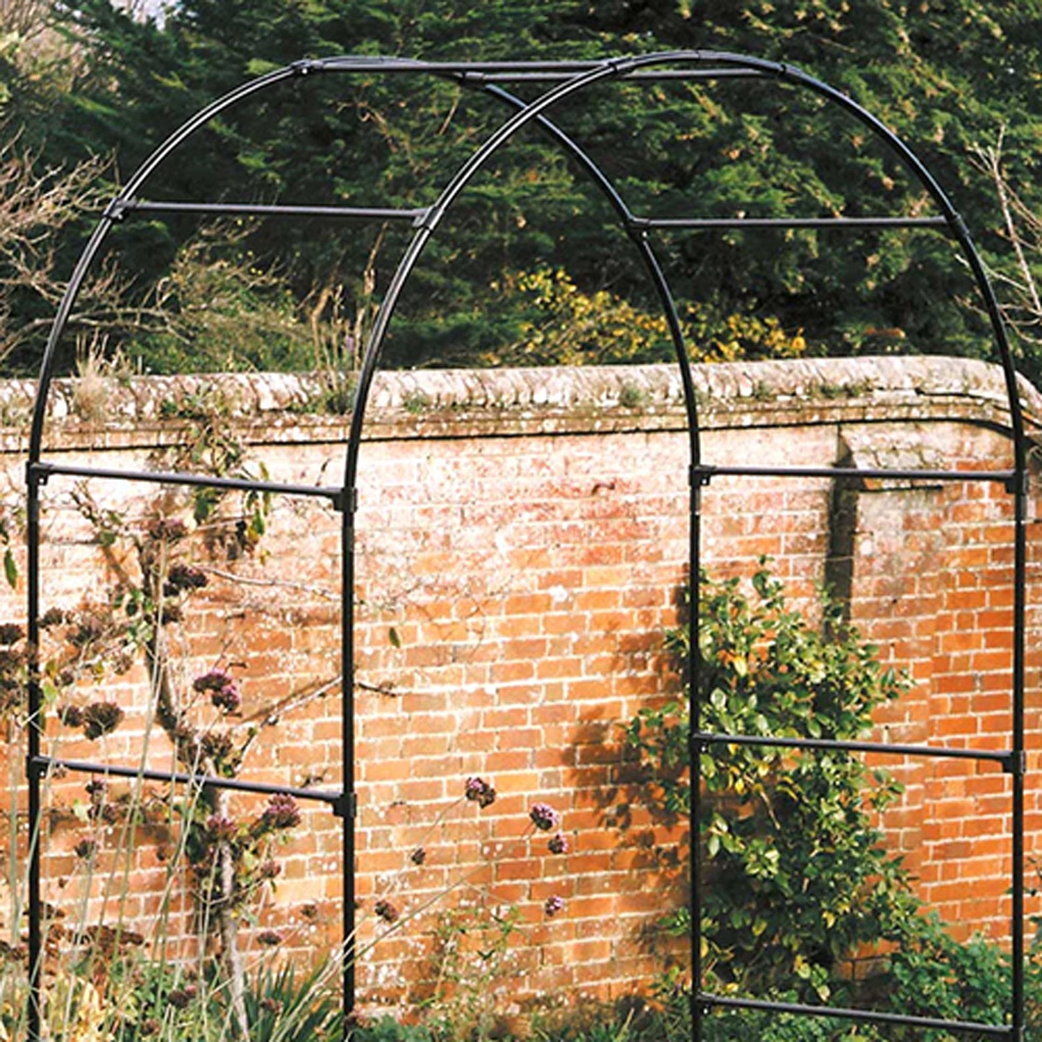 Fruit Tree Arch 