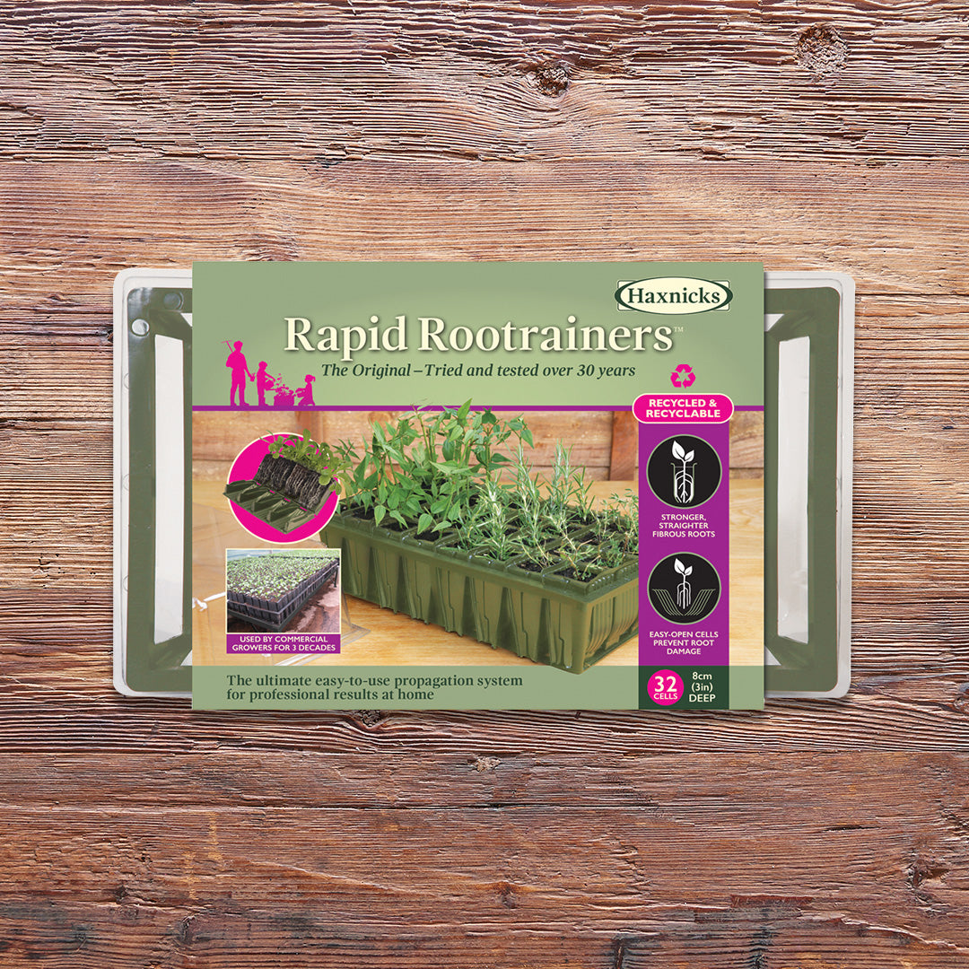 Rapid Rootrainers Replacement Books (Set of 8)