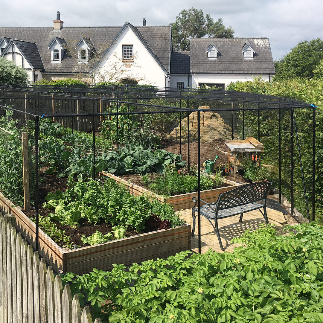 Superior Fruit Cage - Matt Black | Fruit Cages | Agriframes