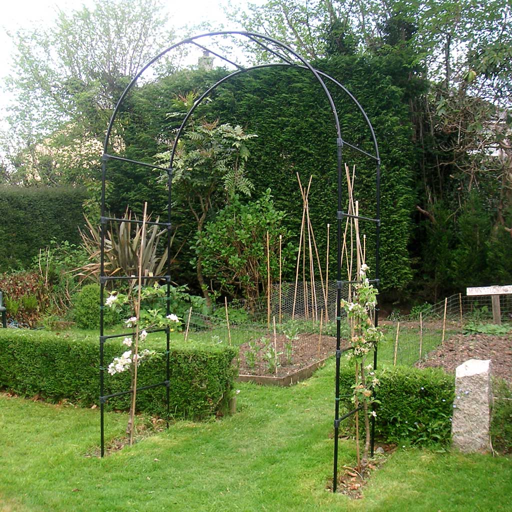Fruit Tree Arch | Garden Arches | Agriframes
